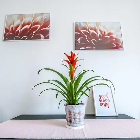Apartment Brunhild